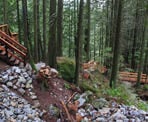 The wooden steps along the short route to Cascade Falls