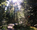 The trail behind the Pump House on the way to Chapman Falls