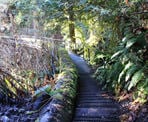 One of the metal bridges to cross near Chapman Falls on the Sunshine Coast