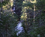 A view of Chapman Falls between the trees