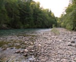 A view of the Cheakamus River near the trailhead to the Cheakamus Canyon Trail