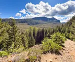 A view from the trail heading up to Loggers Lake