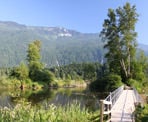 The floating walkways out to the viewpoint at Cheam Lake Wetlands in Chilliwack, BC