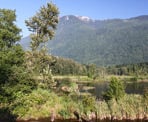Cheam Lake Wetlands with Mount Cheam towering in the background
