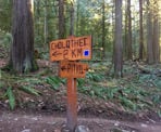 A sign at a junction marking the different trails in the Chilliwack Community Forest