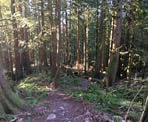 The trail descends along the Upper Canyon Trail in the Chilliwack Community Forest