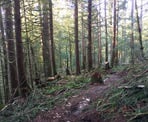 The Upper Canyon Trail in the Chilliwack Community Forest