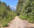 The wide gravel trail with a view of Mount Lindeman on the south end of Chilliwack Lake