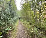 The narrower trail as it descends down to the south end of Chilliwack Lake