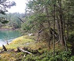 A view along the coast of Salt Spring Island