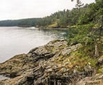 The rocky coastline along Salt Spring Island