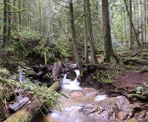 Clack Creek in Cliff Gilker Regional Park