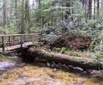 A wooden bridge across Clack Creek in Cliff Gilker Regional Park