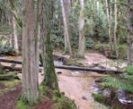 The scenic forest in Cliff Gilker Regional Park