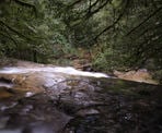 A view from the top of the waterfall looking at the wooden bridge below in Cliff Gilker Park