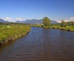 The Coquitlam River as it pass through Colony Farm Regional Park