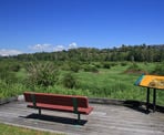 A bench with a view at Colony Farm Regional Park