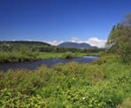 The view looking towards the mountains along the Coquitlam River at Colony Farm Regional Park