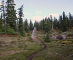 The hiking trail in the Callaghan Valley to Conflict Lake near Whistler, BC