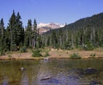 A view of Mount Callaghan in the distance from Conflict Lake
