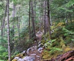 The steep Cool Creeek Canyon trail, north of Pemberton, BC