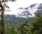 One of several views of the Birkenhead River Valley along the Cool Creek Falls Trail