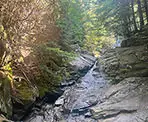 A small waterfall next to a creek crossing along the Coquitlam Lake View Trail