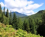 One of the first views as you hike up the steep hill towards Loggers Lake in Whistler