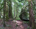 A giant boulder sits next to the Sigurd Trail on the way to Crooked Falls