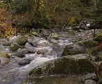 Water flows down Pritchett Creek after going over Crystal Falls in Coquitlam