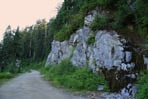 The gravel road behind Grouse Mountain that connects to Ridge and Alpine trails
