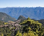A view from near the top of De Pencier Bluffs across Indian Arm