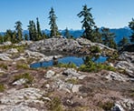 The top of De Pencier Bluffs on Mount Seymour