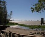 The view of the Fraser River from the Island Tip trail on Deas Island