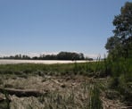 The view off the south west side of Deas Island, south of Vancouver