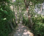 The Dyke Loop Trail on Deas Island, south of Vancouver