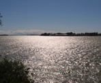 Looking down the Fraser River from the viewing platform on Deas Island