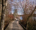 Boardwalks in front of the Shatbolt Centre at Deer Lake