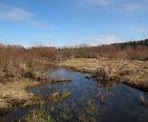 The wetlands located around Deer Lake in Burnaby