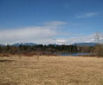 View of Deer Lake in Burnaby, BC