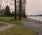 The picnic area of Edgewater Bar in Derby Reach Regional Park, Langley