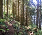 The rugged trail around Devil's Lake in Mission, BC