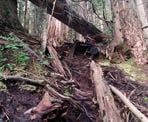 The rugged trail along Dilly Dally Loop heading towards Tangled Summit
