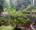 Jessica Lake is one of a series of small lakes you pass along the Dilly Dally Loop trail