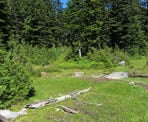 The area around First Lake, located along the trail to Dog Mountain