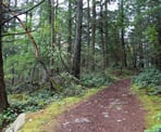 The trail to Dorman Point in Crippen Regional Park on Bowen Island