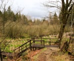 The stairs that lead down to the raised boardwalks across the marsh in Downes Bowl