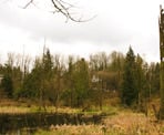 A view looking across the marsh area in Downes Bowl in Abbotsford