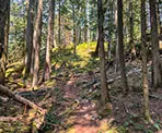 The Dragon's Back Trail in Hope, BC