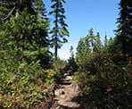 The trail to Black Mountain, Cabin Lake, and Eagle Bluffs